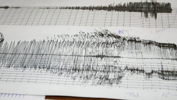 Снимка: архив, БГНЕС