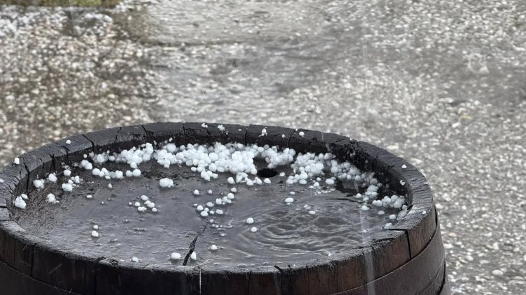 Снимки: Facebook/Plamen Kovachev  