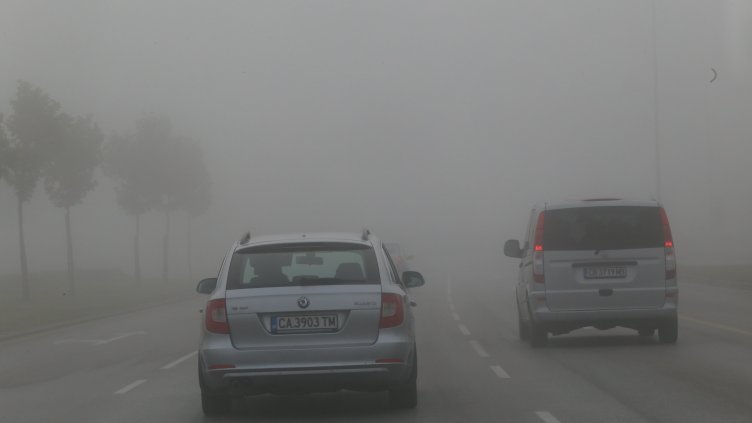 БГНЕС, архив