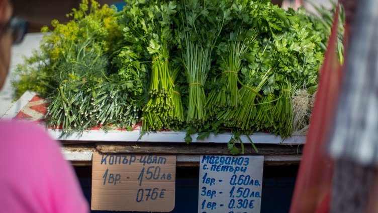 Димитър Кьосемарлиев, Dnes.bg