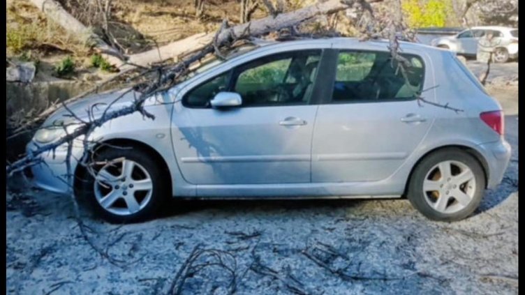 БГНЕС, архив