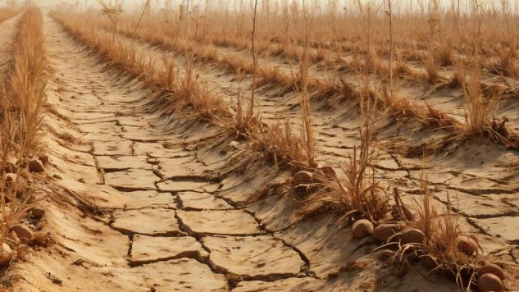 Проблеми с напояването: Полетата са с пукнатини повече от метър