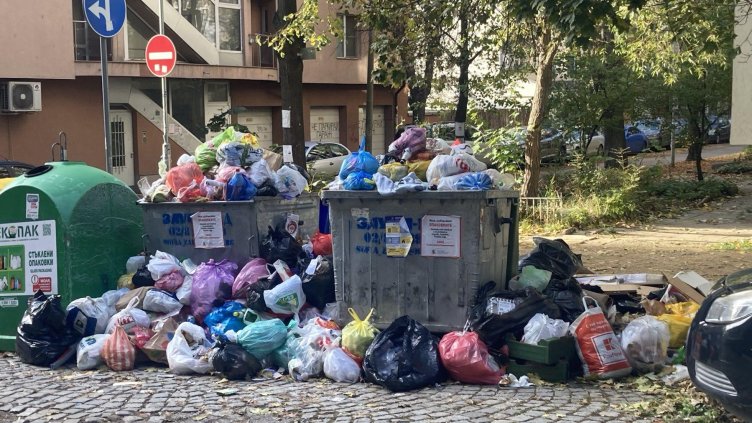 Снимка: БГНЕС