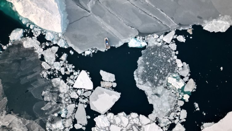 Снимка: архив, БГНЕС