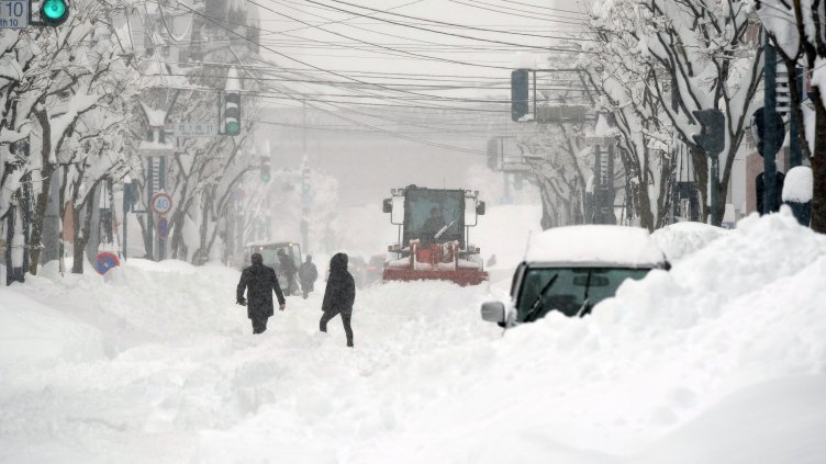 Снимка: архив, БГНЕС