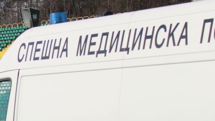 БГНЕС, архив