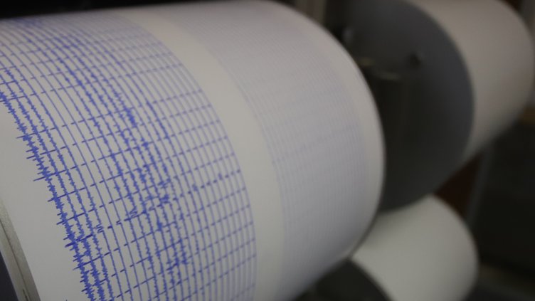 Снимка: архив, БГНЕС