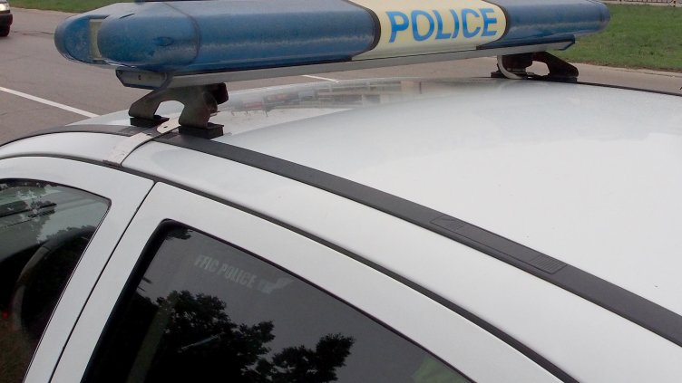 БГНЕС, архив