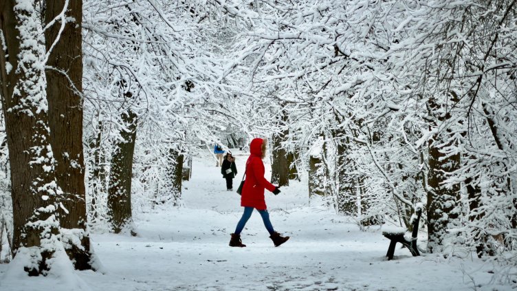 Снимка: Димитър Кьосемарлиев, Dnes.bg