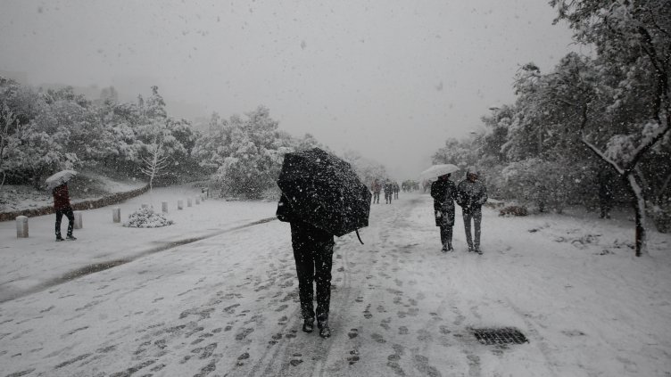 Снимка: архив, БГНЕС