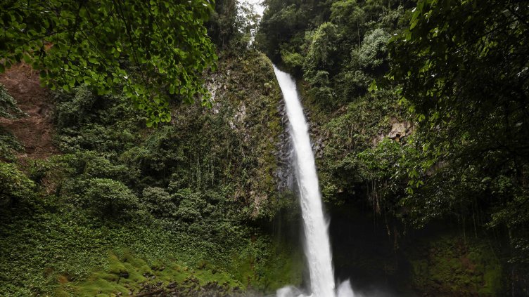 Снимка: архив, БГНЕС