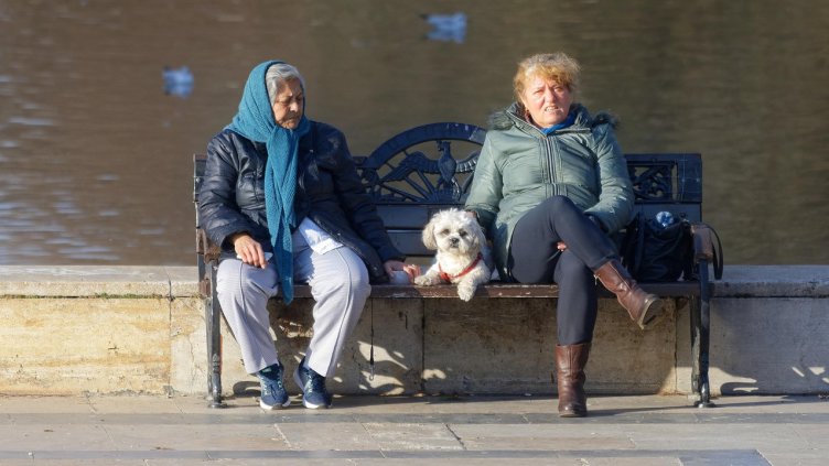 Снимка Пиксабей