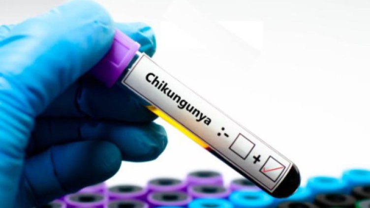 Снимка Пиксабей