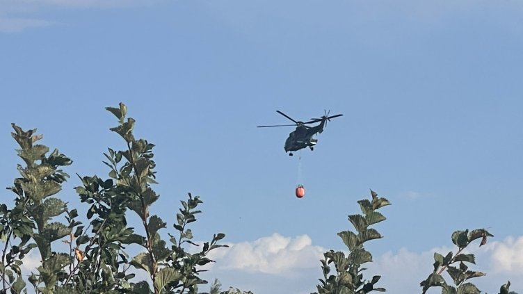 Снимка: Община Стара Загора