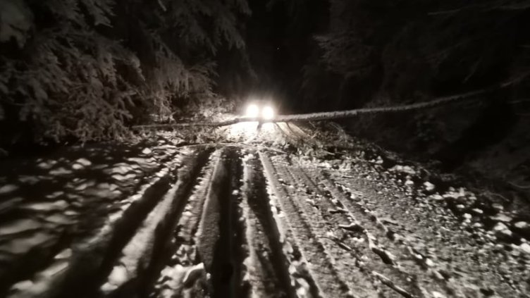 Снимка: архив, БГНЕС