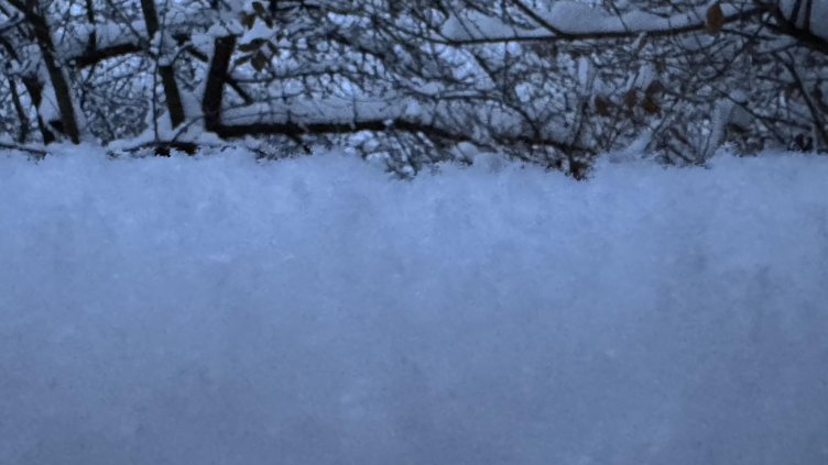 Снимка: архив, БГНЕС