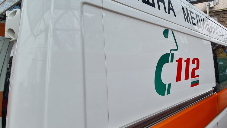 Снимка: архив, БГНЕС