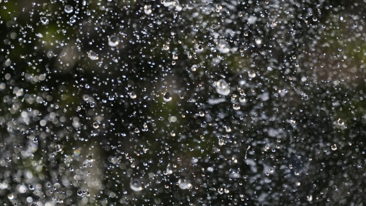 Снимка: архив, БГНЕС