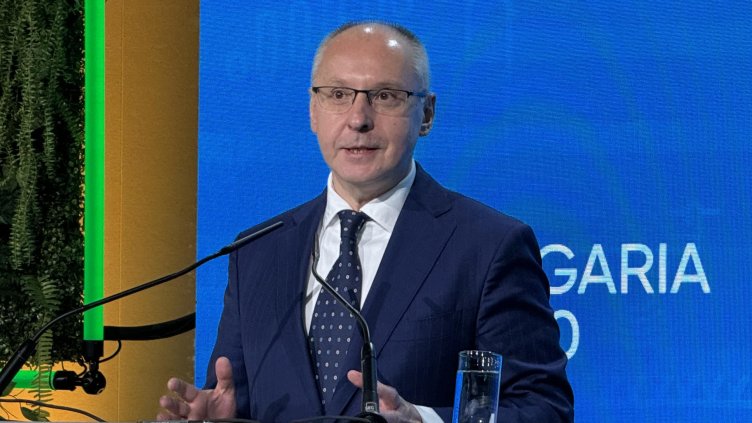 Снимка: архив, БГНЕС