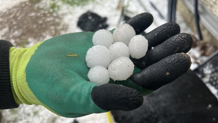 Снимка БГНЕС