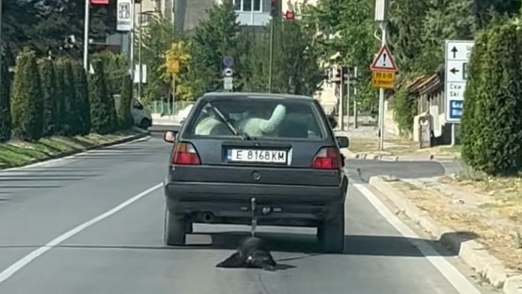 Задържаха изверг в Банско, влачил с колата си куче