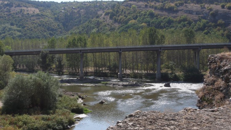 Снимка: БГНЕС, архив