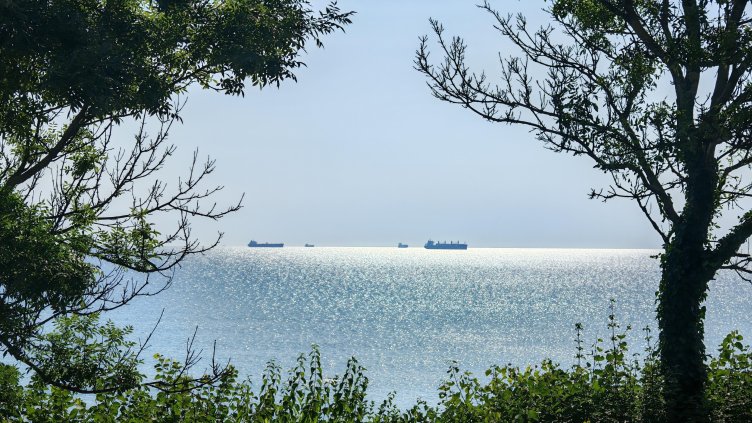 БГНЕС