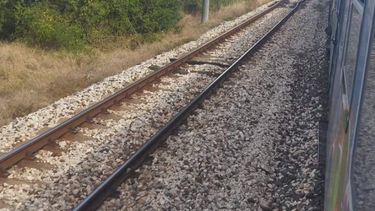 Снимка: БГНЕС, архив