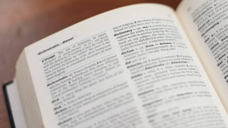 Снимка: Pixabay/astize