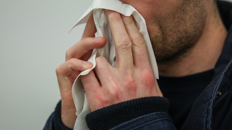 Снимка: архив, БГНЕС