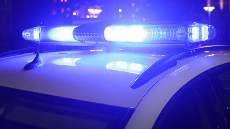 БГНЕС, архив