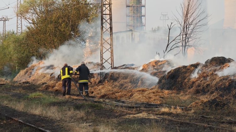 Снимка: архив, БГНЕС