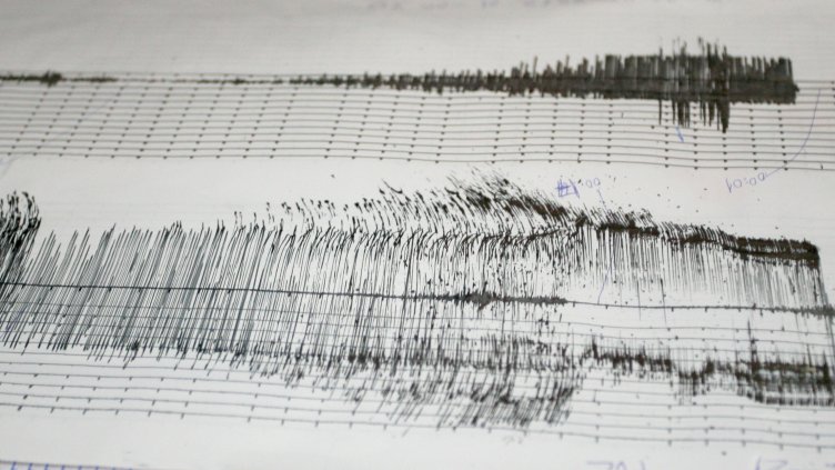 Снимка: архив, БГНЕС