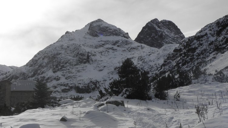 Снимка: архив, БГНЕС