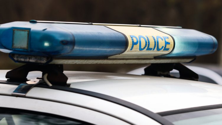 Снимка: архив, БГНЕС