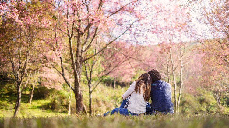 Снимка: iStock/kitzcorner