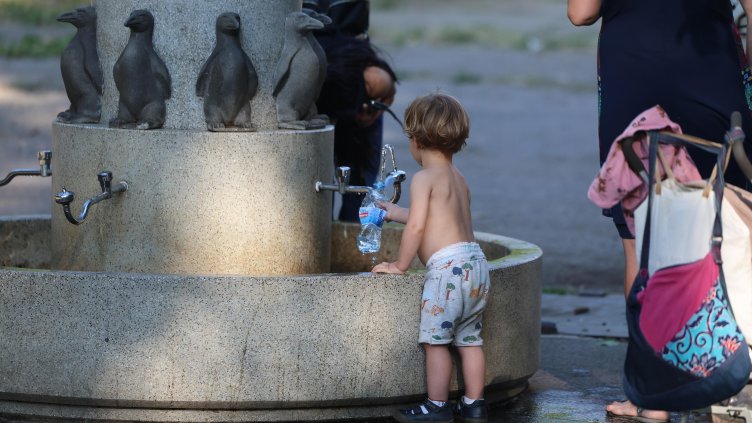 Снимка: БГНЕС