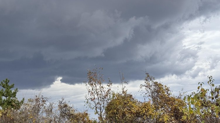 Снимка: БГНЕС/ EPA