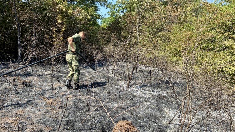 Сухи треви горят в квартал „Димитър Миленков“ в София