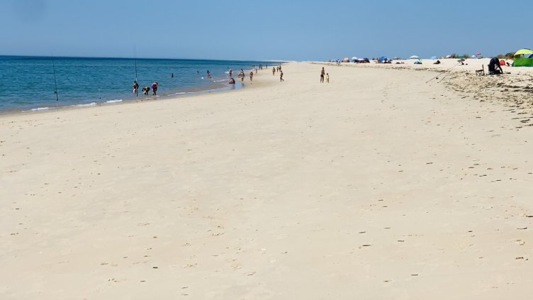 БГНЕС, архив