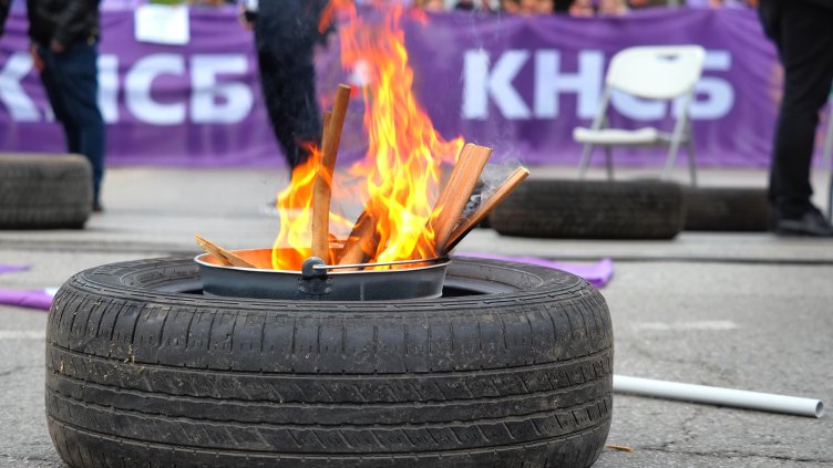 Снимка: БГНЕС