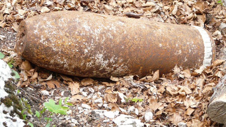 Снимка: Пиксабей