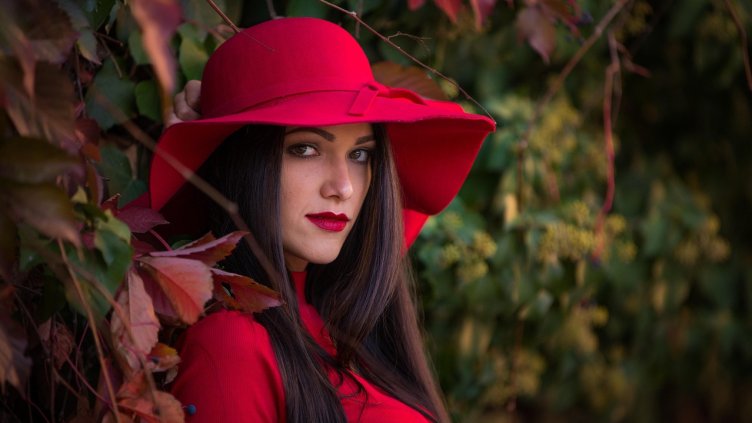 Снимка на Lachezar Chokoev от Pixabay