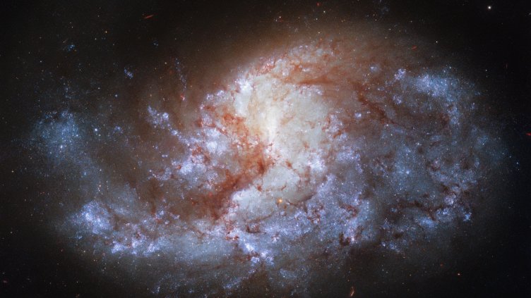 Снимка: архив, БГНЕС