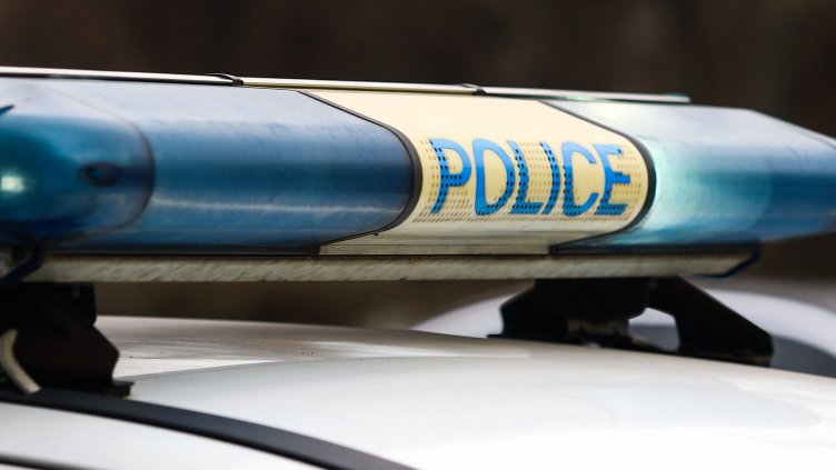 Снимка: архив, БГНЕС