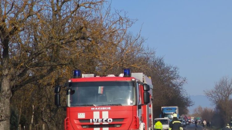 Снимка: архив, БГНЕС