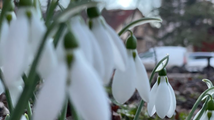 Снимка БГНЕС