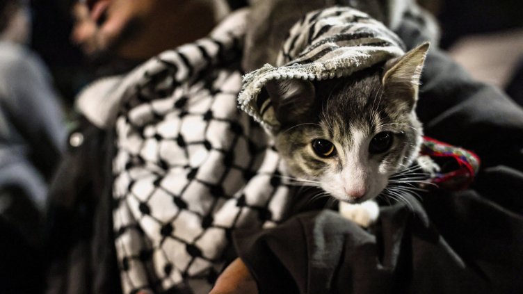 Снимка: Reuters