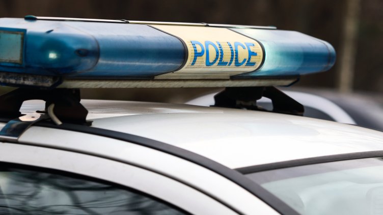 Снимка: архив, БГНЕС