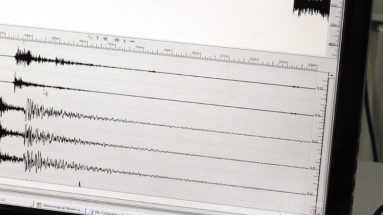 Снимка: архив, БГНЕС